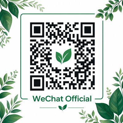 麻豆传媒公众号